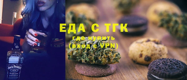 дживик Верхний Тагил