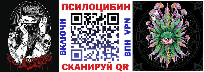 Псилоцибиновые грибы MAGIC MUSHROOMS  хочу наркоту  blacksprut как войти  Каргат 